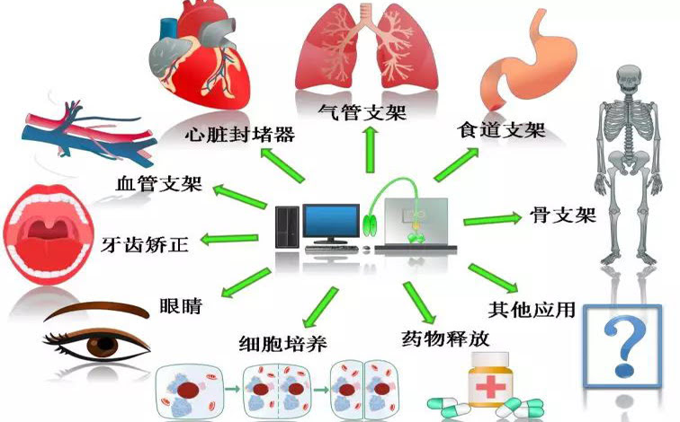 4D 打印形狀記憶聚合物在生物醫療領(lǐng)域的研究進(jìn)展