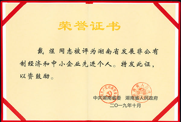 頂立科技戴煜董事長(cháng)獲評“湖南省發(fā)展非公經(jīng)濟先進(jìn)個(gè)人”榮譽(yù) (2).jpg