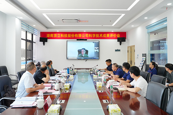 頂立科技成果技術(shù)評價(jià)會(huì ) (7).jpg