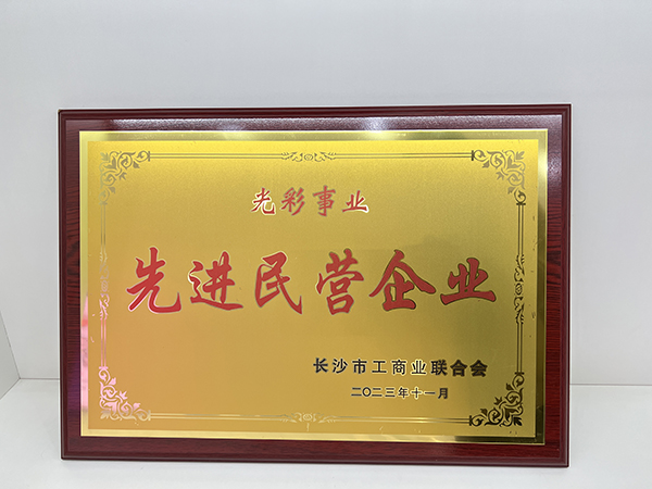 頂立科技被市工商聯(lián)授予“光彩事業(yè)先進(jìn)民營(yíng)企業(yè)”稱(chēng)號 (2).jpg