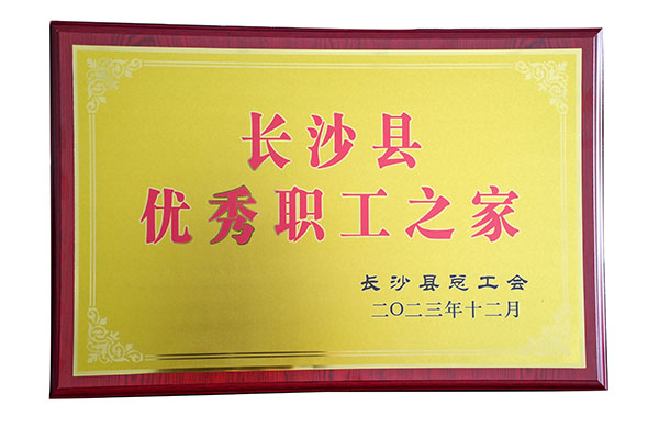 頂立工會(huì )榮獲“長(cháng)沙縣優(yōu)秀職工之家”稱(chēng)號.jpg